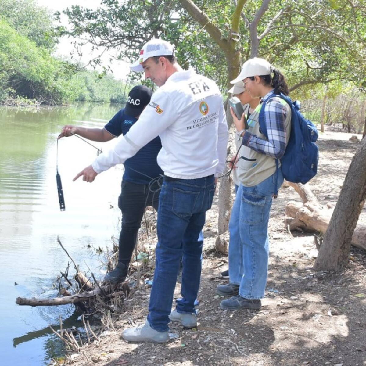 Culminó recolección de peces muertos en Caño Juan Angola de Cartagena