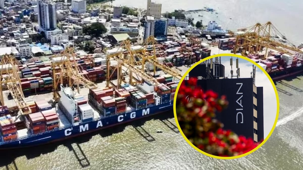 Habla supuesto recomendado de Juan Fernando Petro y enviado de ‘Papá Pitufo’ para Dian Buenaventura