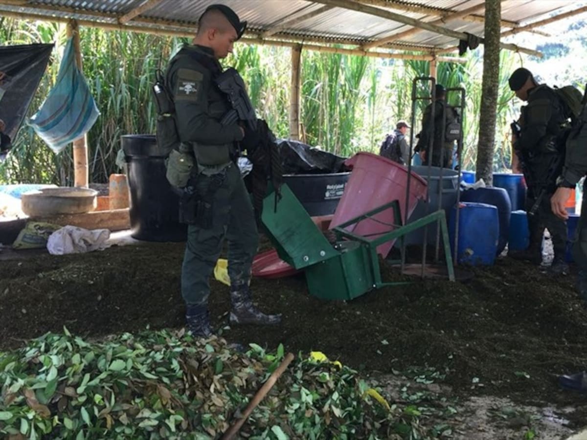 Destruyen laboratorio para procesar coca en zona rural de Popayán