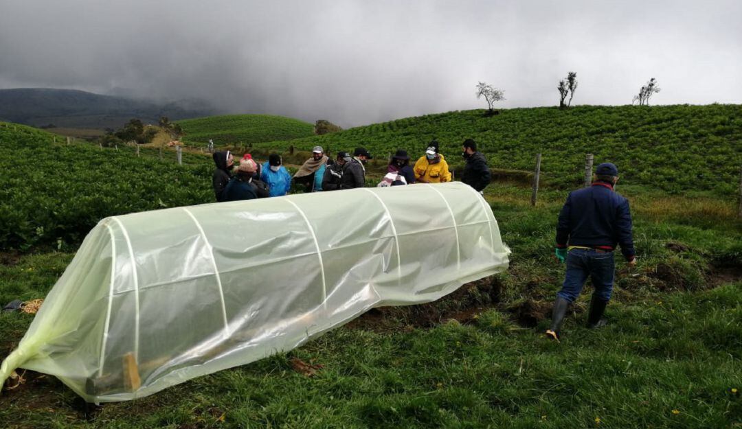 Microtúneles en el páramo de Letras