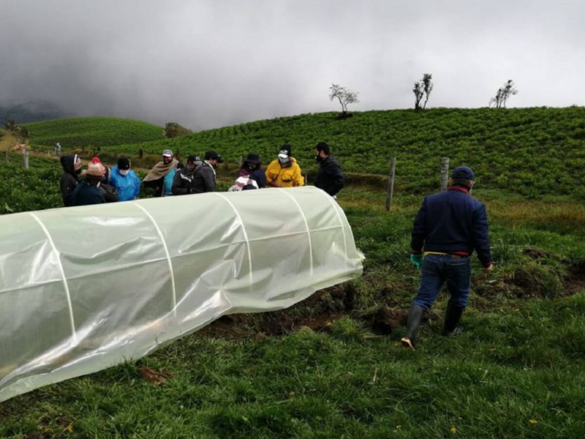 Con microtúneles se busca proteger los cultivos en el Páramo de Letras