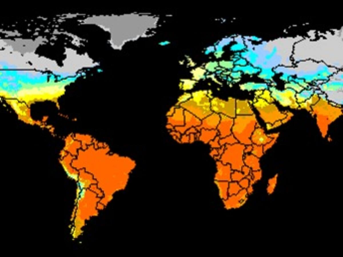 300.000 muertes al año causa el cambio climático en el mundo