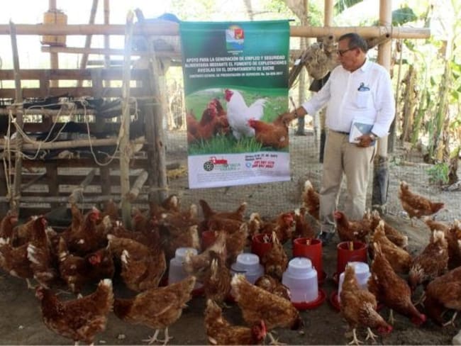En Córdoba las autoridades mantienen la restricción a la movilización de aves