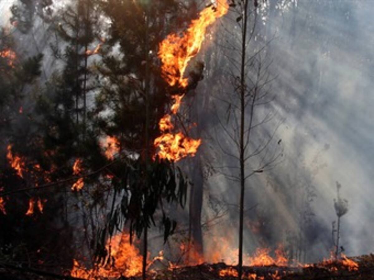 Boyacá en alerta máxima por escases de agua e incendios forestales