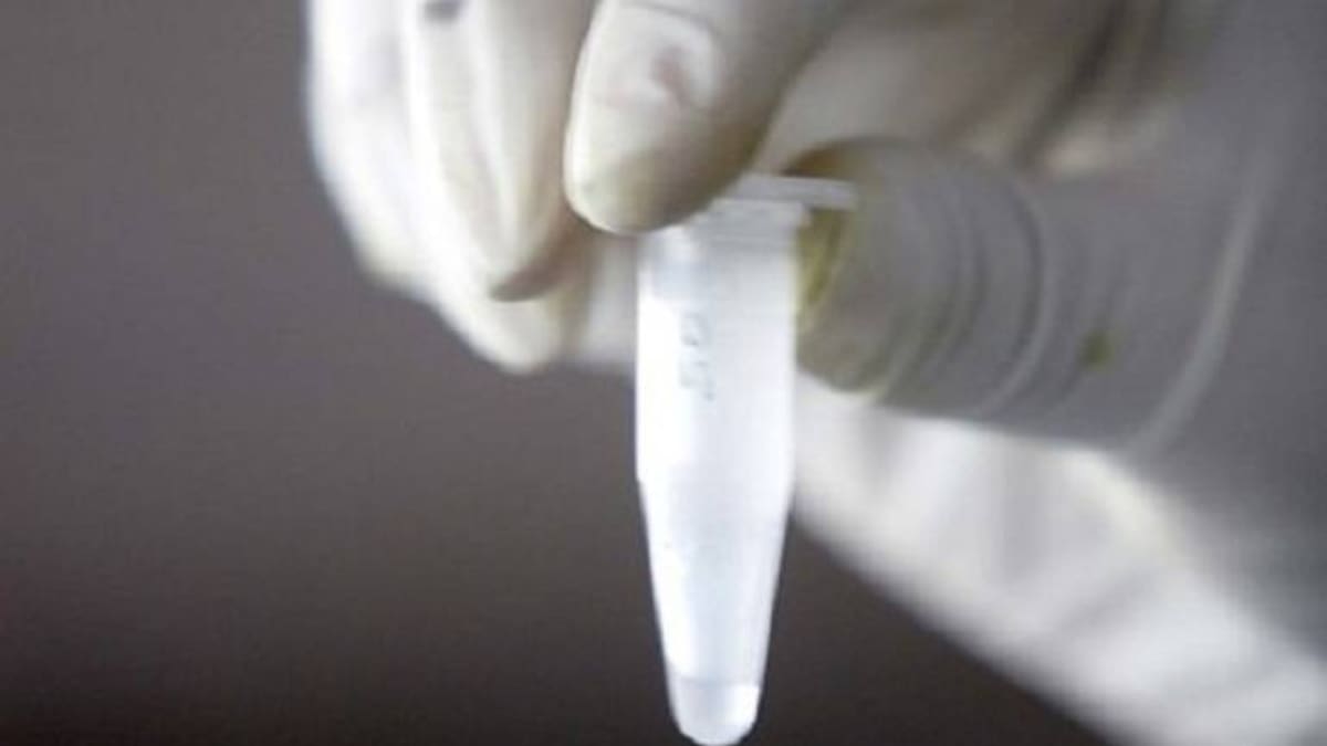 Cura para la diabetes tipo 1, a la vuelta de la esquina
