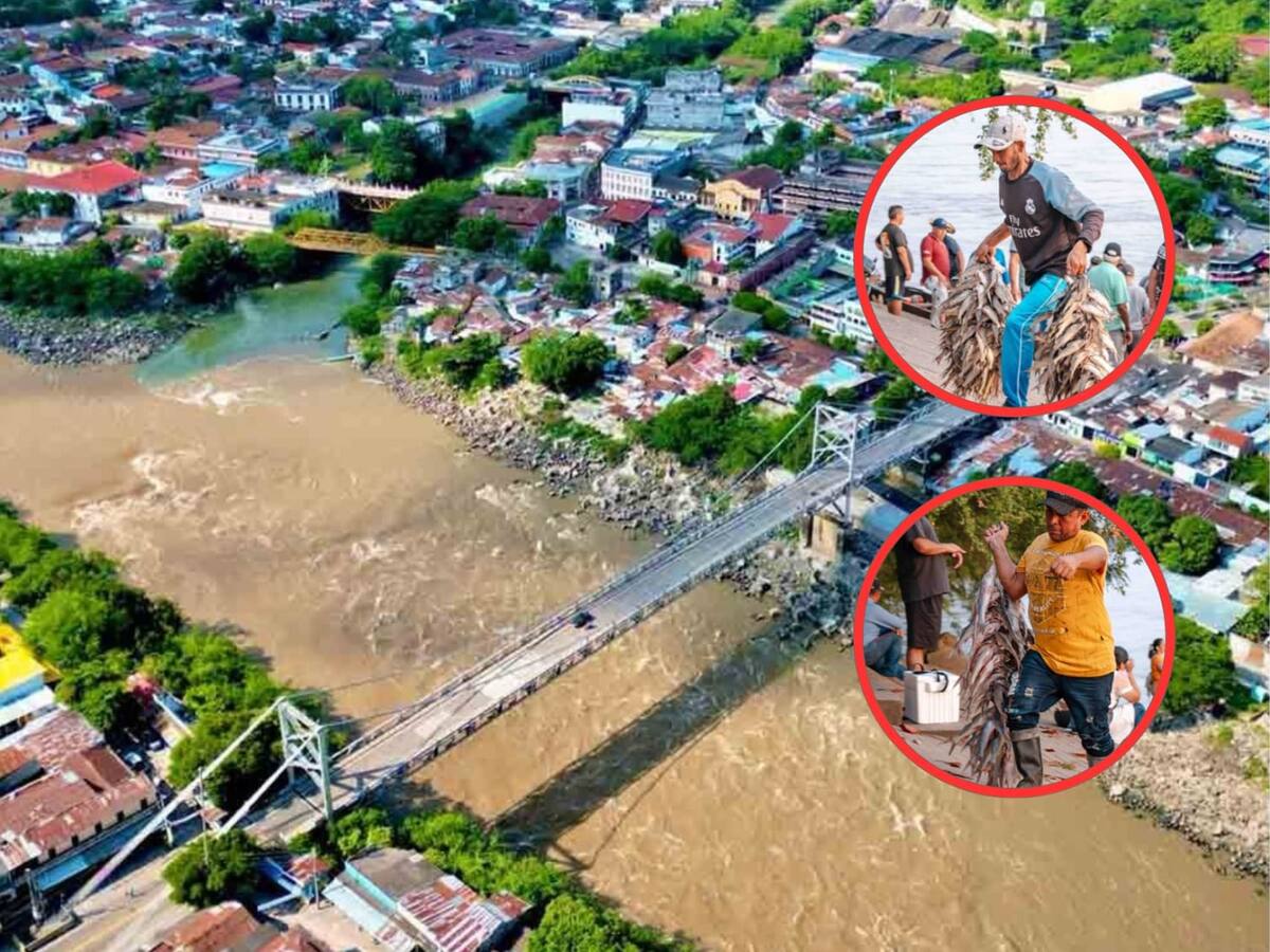 Llegó la subienda al municipio de Honda, Tolima
