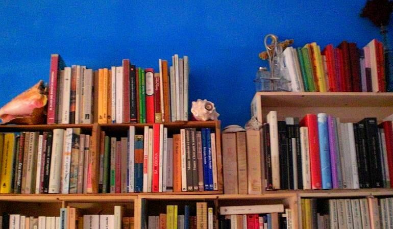 Imagen de referencia