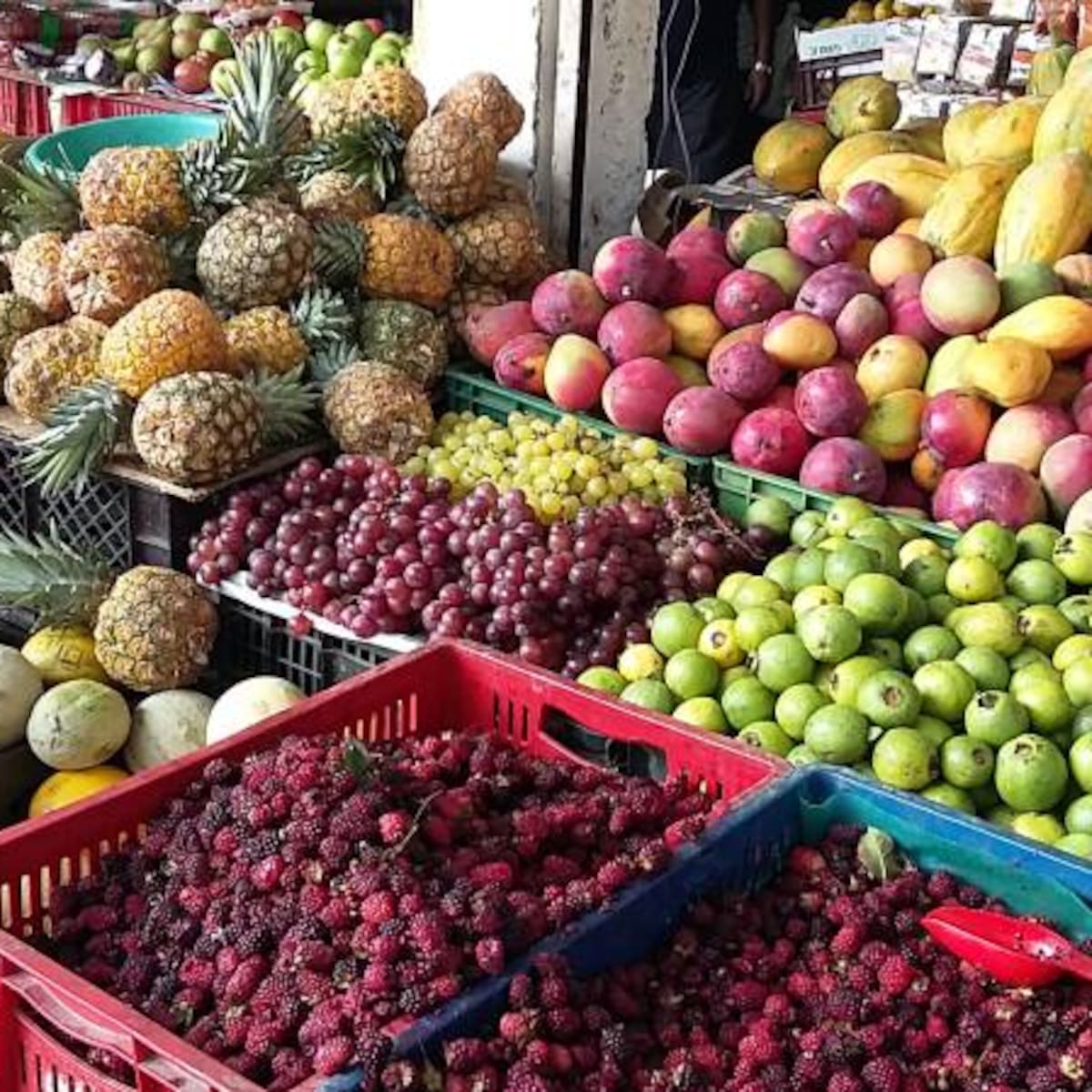 Bajan los precios de la canasta familiar en la Gran Central de Abastos del Caribe