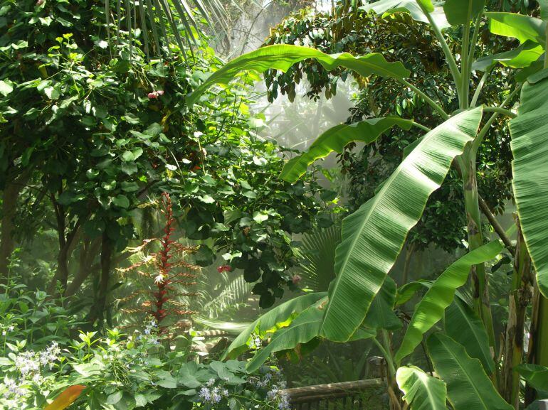 Según autoridades la víctima hacía parte Los Siervos Misioneros de la Santísima Trinidad de Medellín y había llegado a Guamal hacía solo un mes a evangelizar.