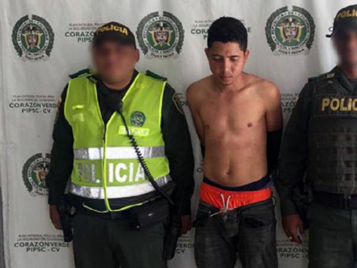 Hombre se ocultó en un palo de mango para no ser capturado en Cartagena