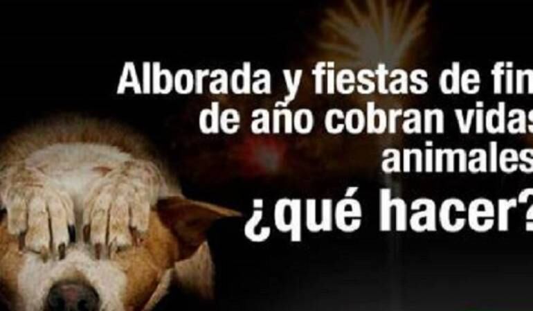Alborada