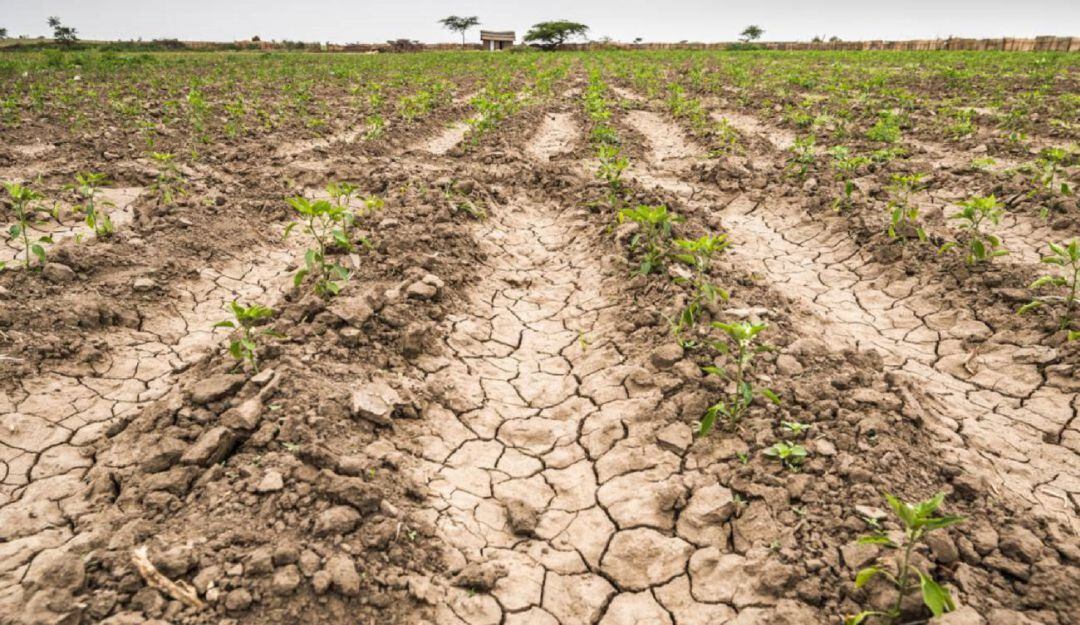 Dentro del listado se incluyen también municipios como Aipe, Algeciras, Baraya, Campoalegre y Colombia; la mayoría ubicados en la zona norte huilense.