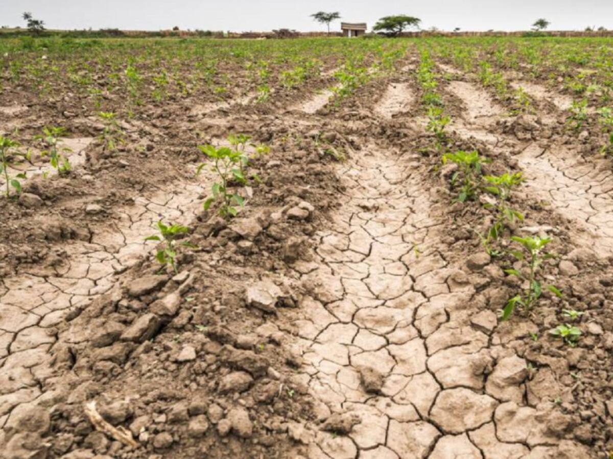 Calor en Colombia: ¿cuál es el municipio más caliente del Huila?