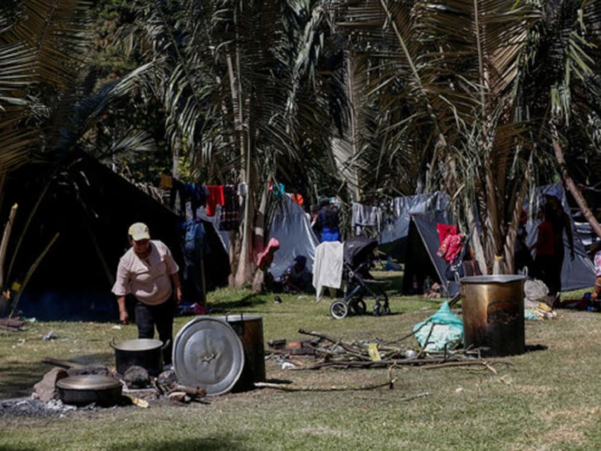 Si hay garantías, comunidades indígenas que están en Bogotá harán retorno