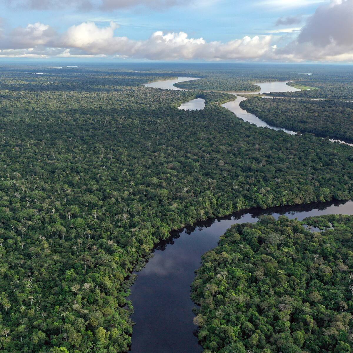 “Isla Santa Rosa es peruana”: colombiano alerta por posible pérdida del río Amazonas ante polémica