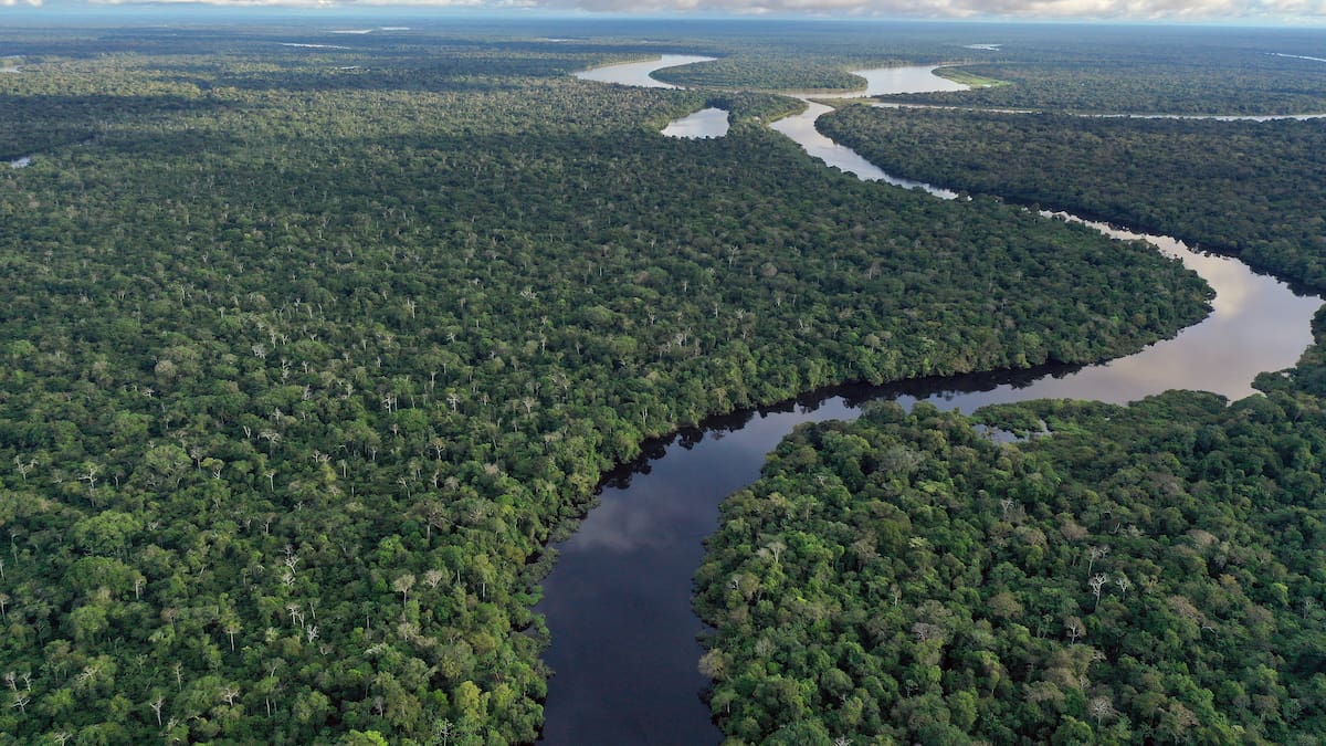 “Isla Santa Rosa es peruana”: colombiano alerta por posible pérdida del río Amazonas ante polémica