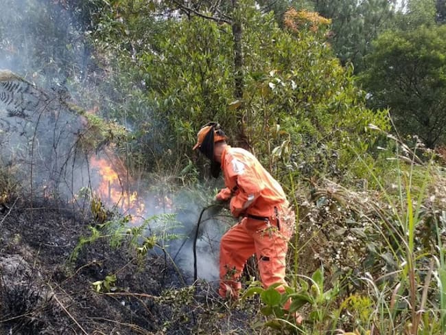 17 municipios están en alerta roja por posibles incendios forestales