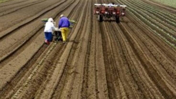 Arroceros quebrados por paro agrario se unirán a las protestas