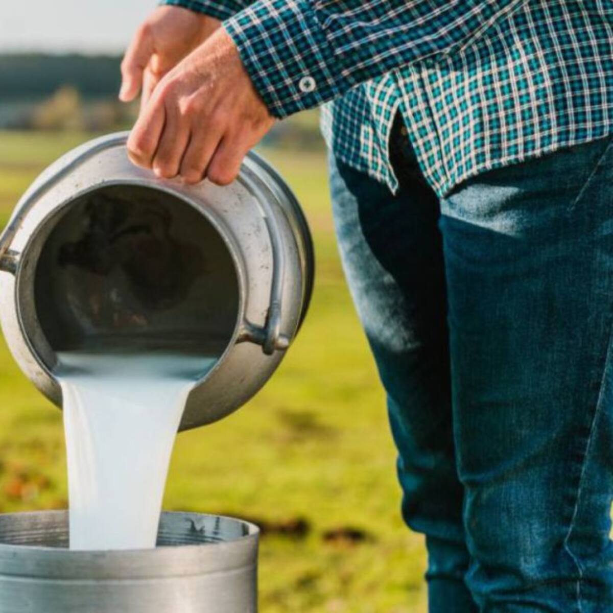 Crisis por baja producción de leche preocupa a hogares del Magdalena