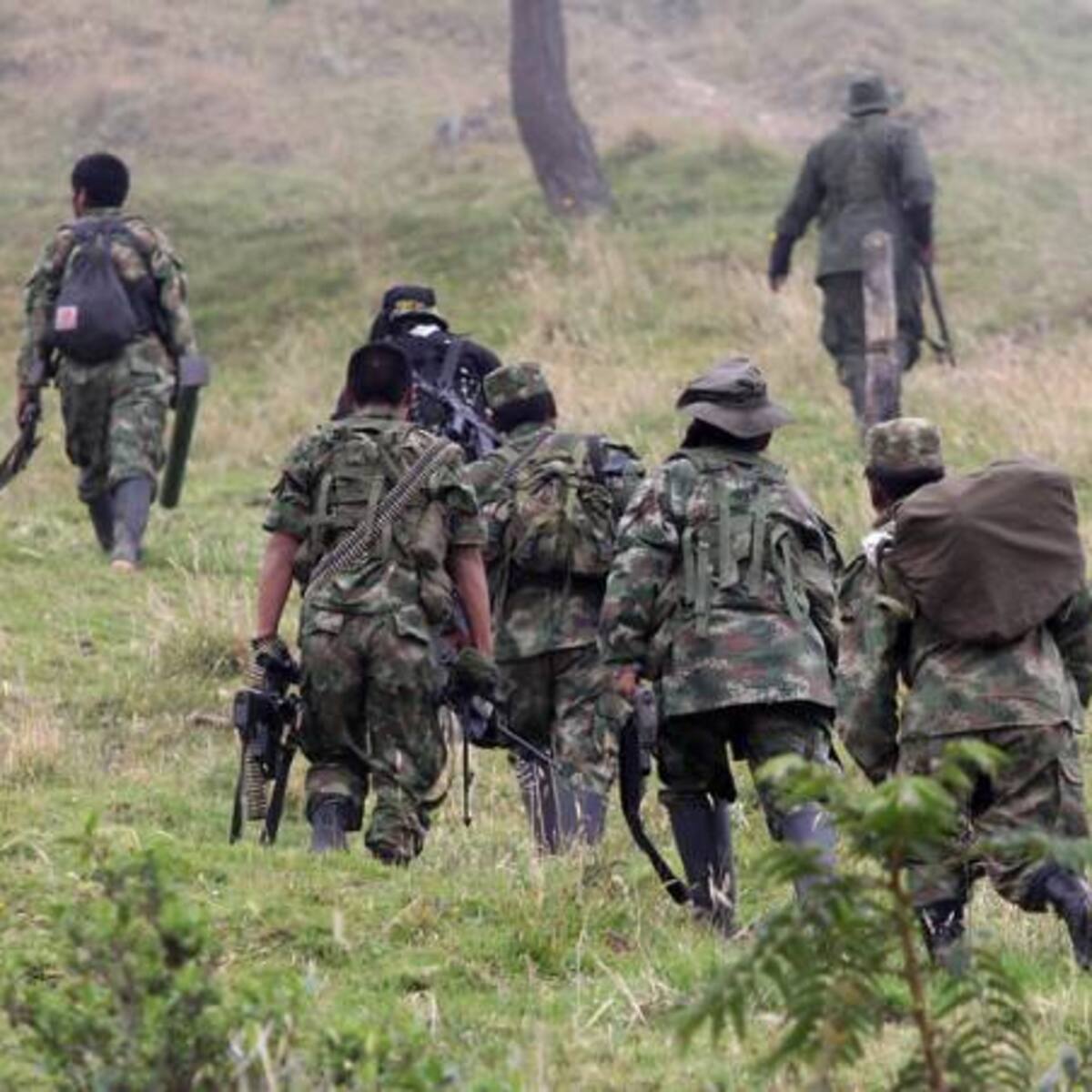Cuatro municipios del Meta tendrán zonas de concentración de guerrilleros de las Farc
