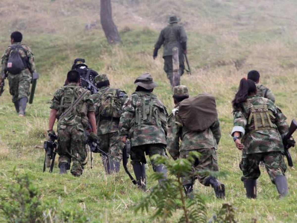 Cuatro municipios del Meta tendrán zonas de concentración de guerrilleros de las Farc