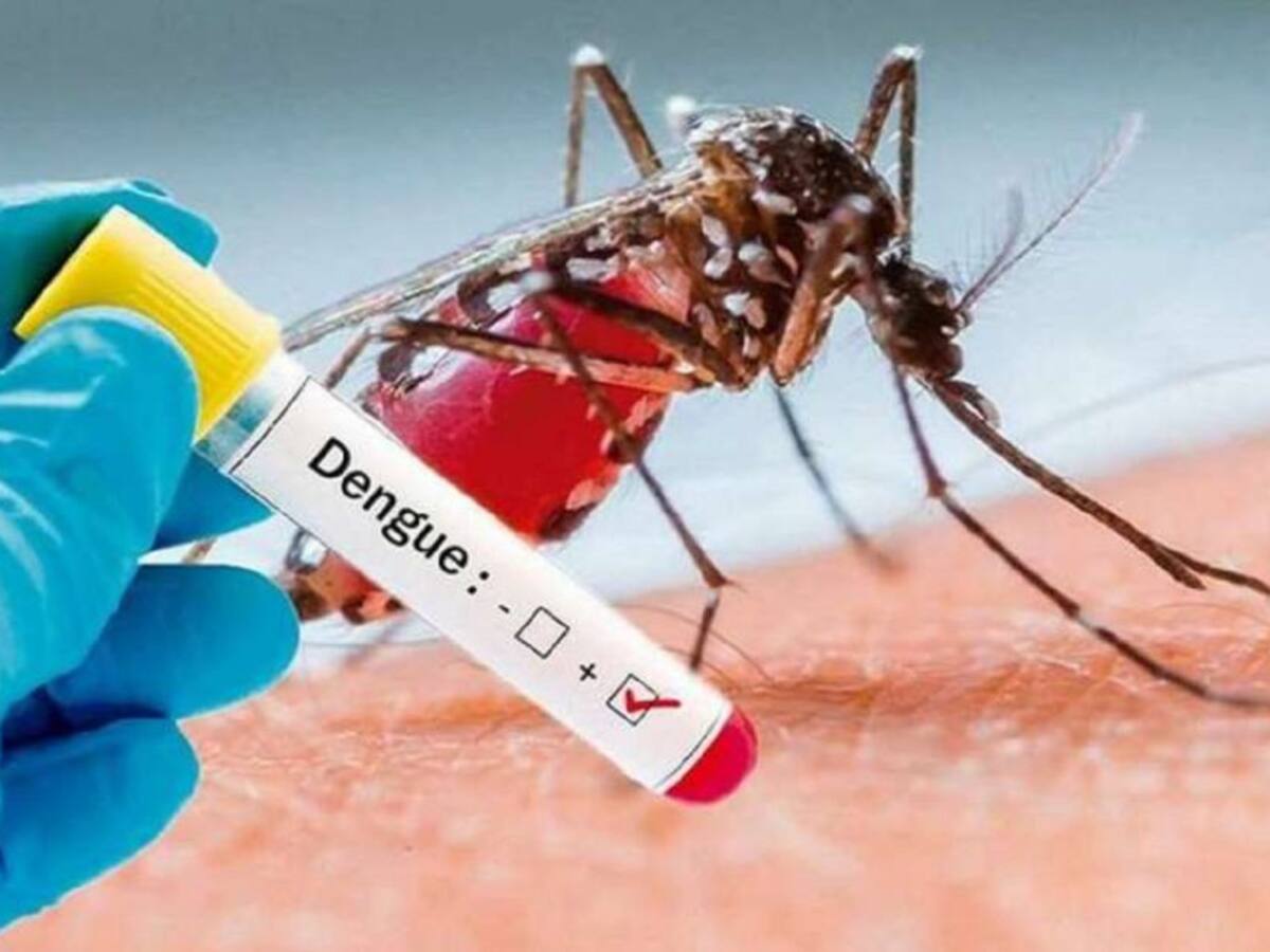 El dengue está afectando la salud de los ibaguereños