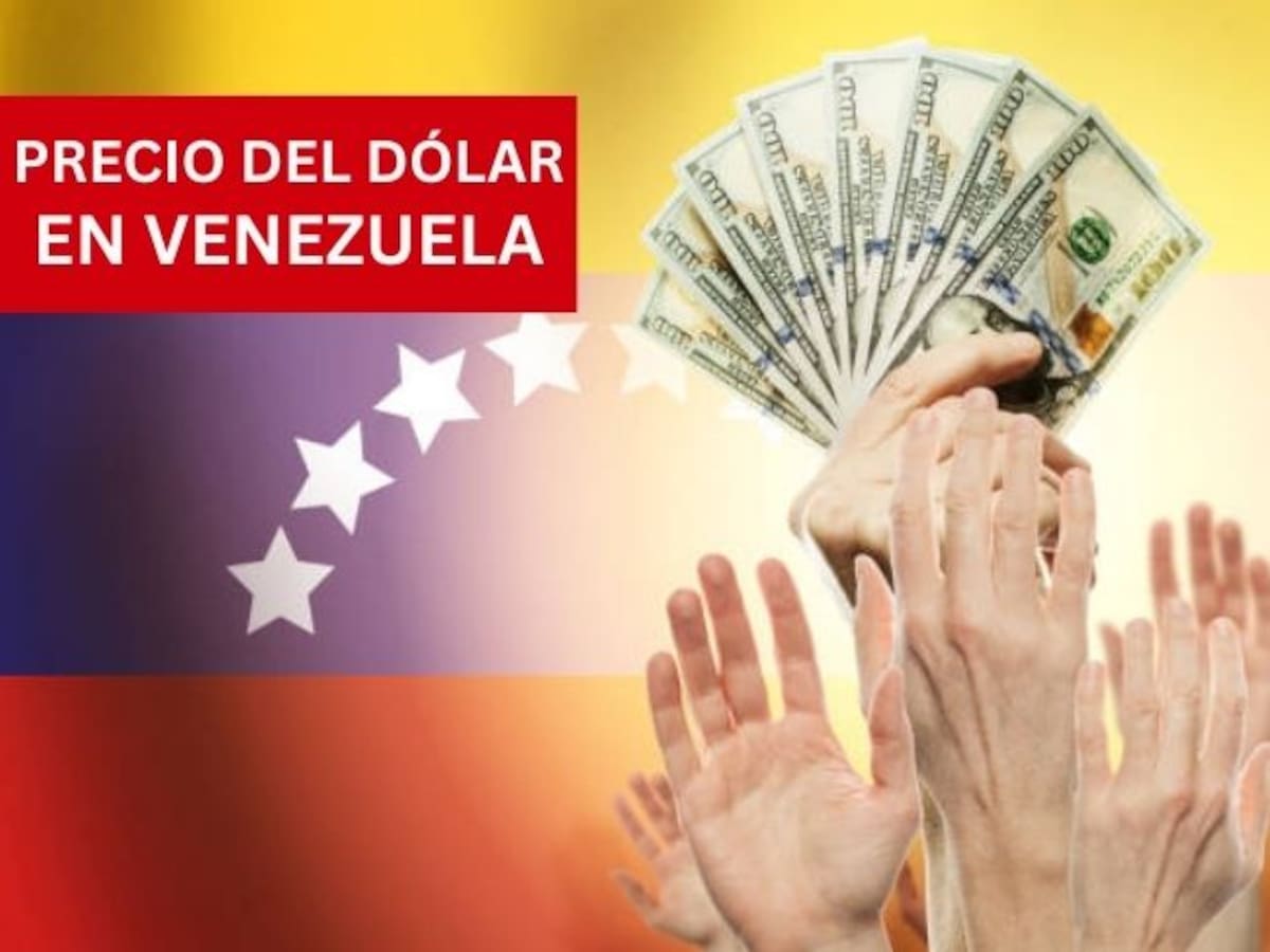 Precio del dólar en Venezuela HOY 15 de enero: BCV reporta un nuevo aumento