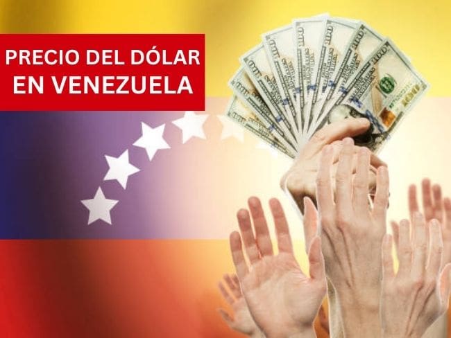 Precio del dólar en Venezuela para este 15 de enero de 2026 Foto: Getty Images