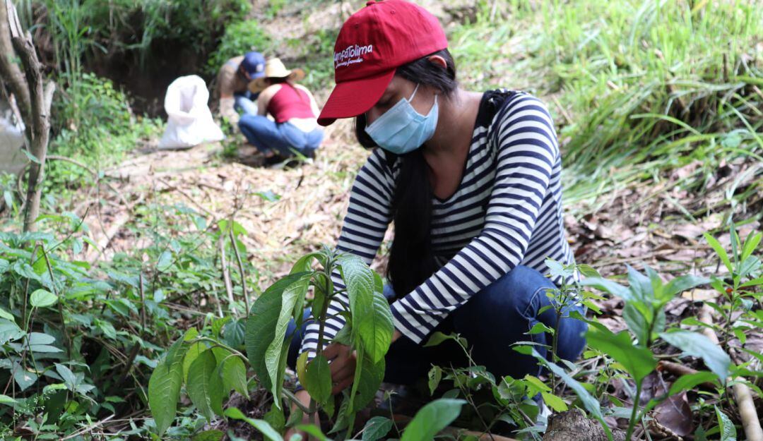 Siembra de árboles en el barrio Salado