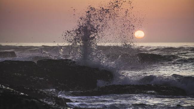 Imagen de referencia