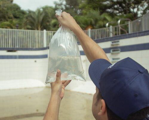 Dengue en Cali. A los programas de prevención se suma la vacuna contra el dengue / Foto: Secretaría de Salud de Cali