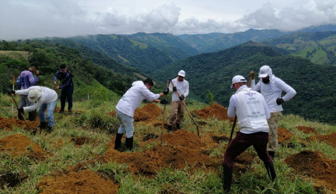 Búsqueda de víctimas