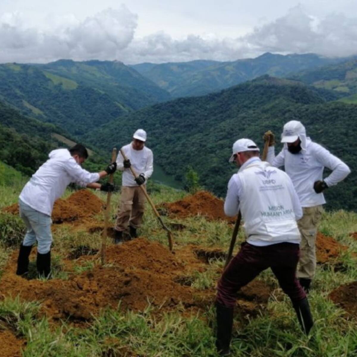Hallados en Caldas ocho cuerpos de posibles víctimas del conflicto