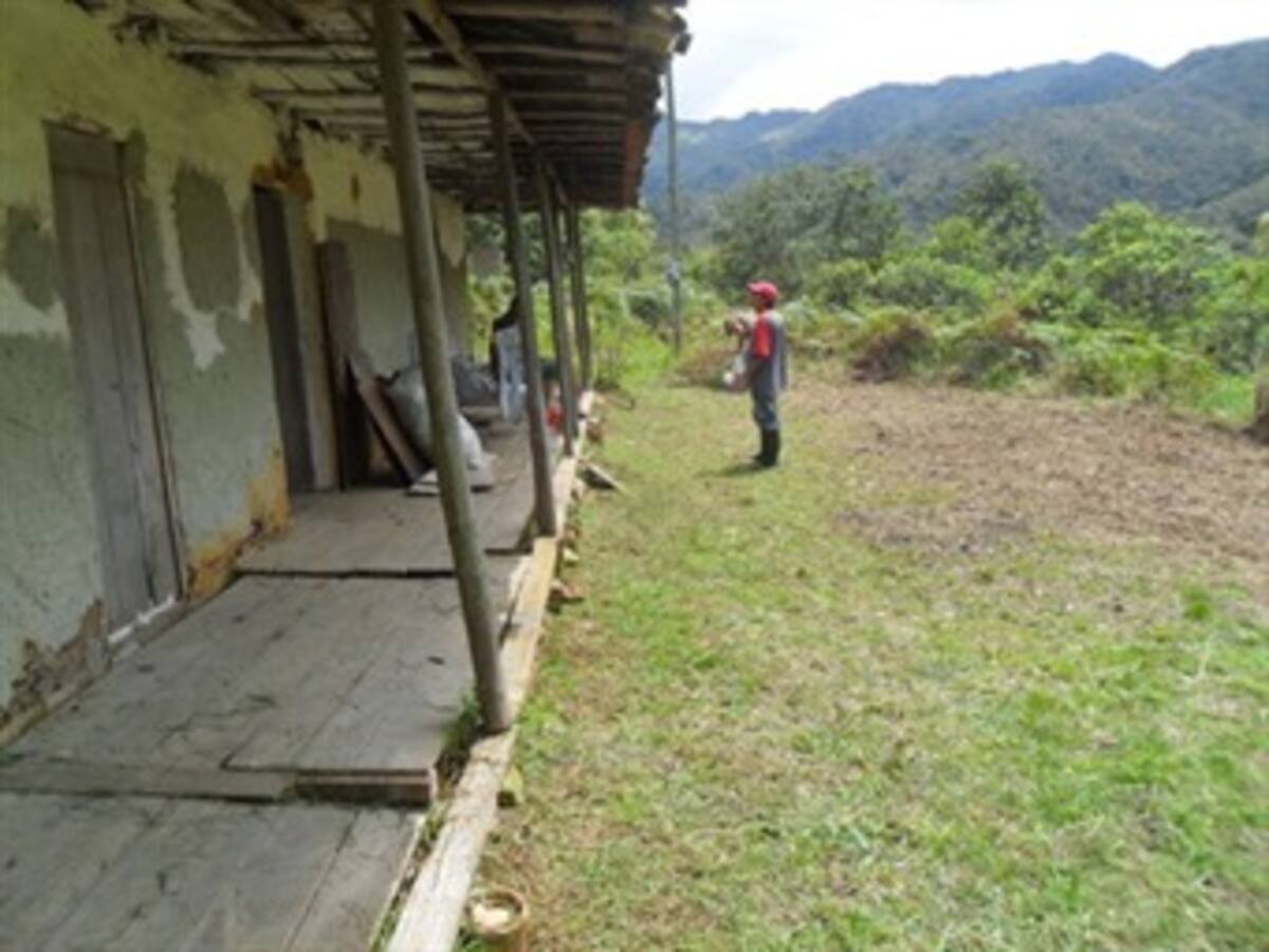 Más de 600.000 hectáreas tendrán que devolver las Farc a víctimas de la violencia