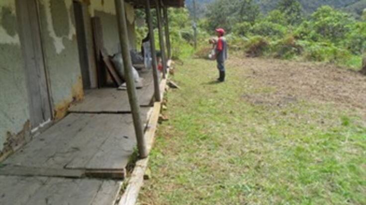 Más de 600.000 hectáreas tendrán que devolver las Farc a víctimas de la violencia