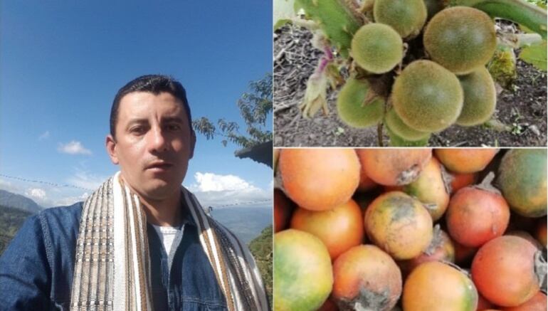 José Luis Suárez Sánchez