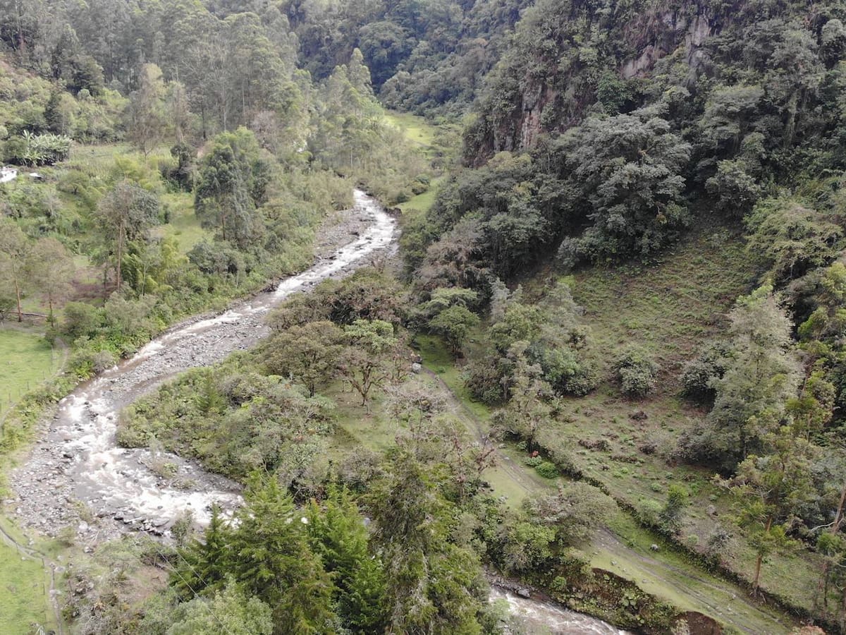 En Ibagué comprarán predios para la conservación ambiental