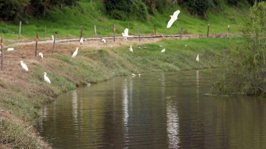 Imagen de referencia/ río Bogotá. Foto: Colprensa