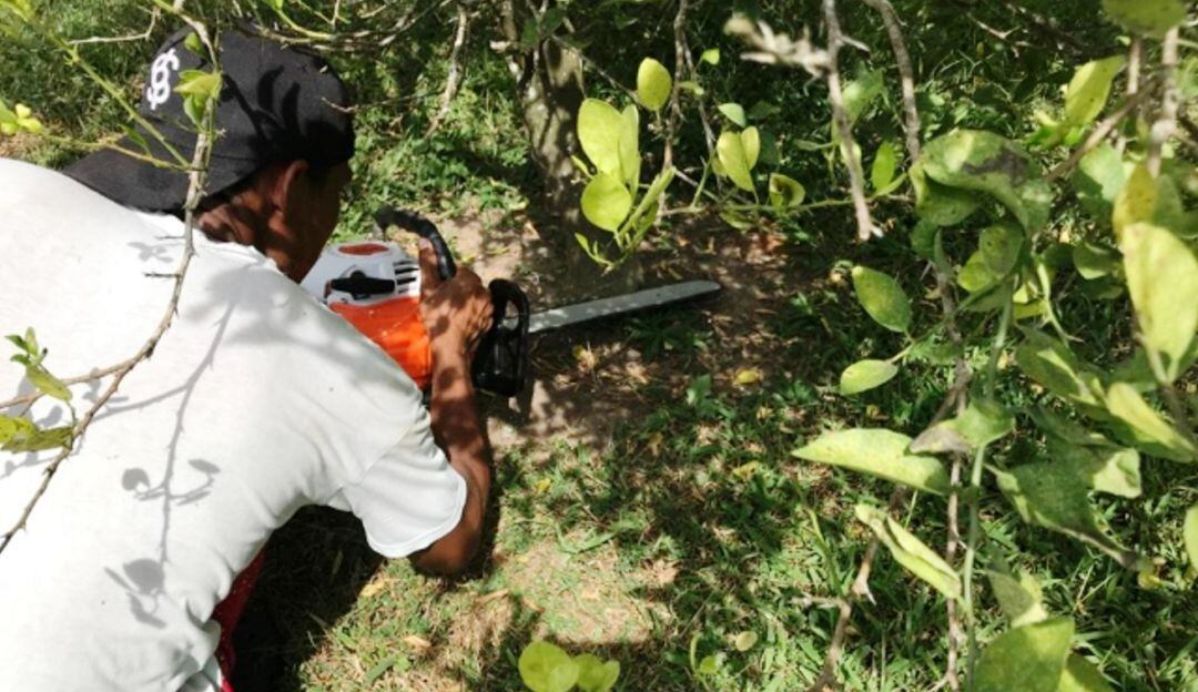 Las actividades se llevaron a cabo en los municipios de San Cristóbal, Arjona, Santa Rosa y María la Baja