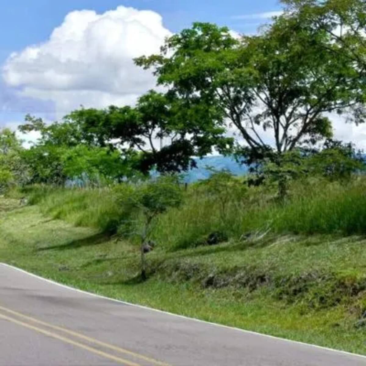 Cerca de 800 delitos se han registrado en la Ruta 45 entre 2024 y 2026