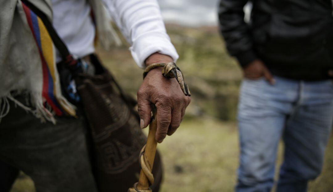 Imagen de referencia.