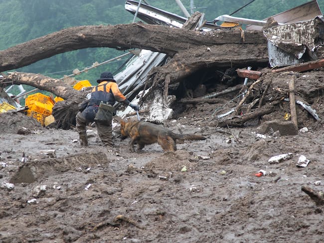 Rescate de animales en Corea del Sur en medio de fuertes lluvias, inundaciones y deslizamientos. 
(Foto:    Seung-il Ryu/NurPhoto via Getty Images)