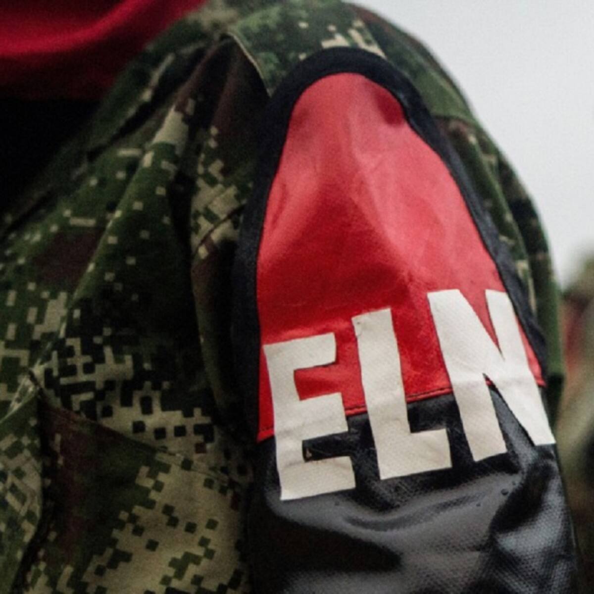 Comité de derechos humanos respalda diálogos con el Eln