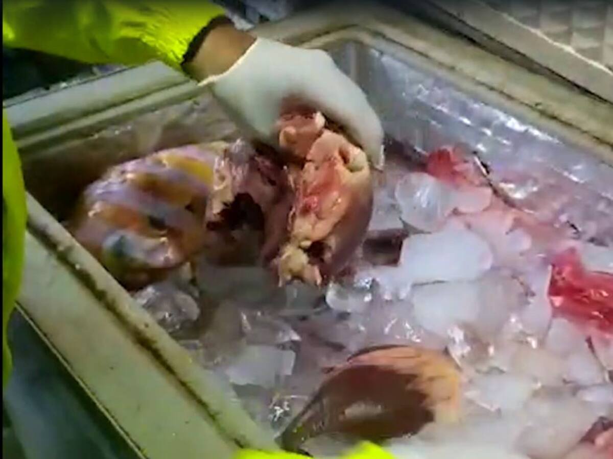 A prisión policías que ayudaban a vender carne de burro en la Costa Caribe