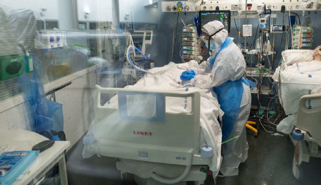 Imagen de referencia