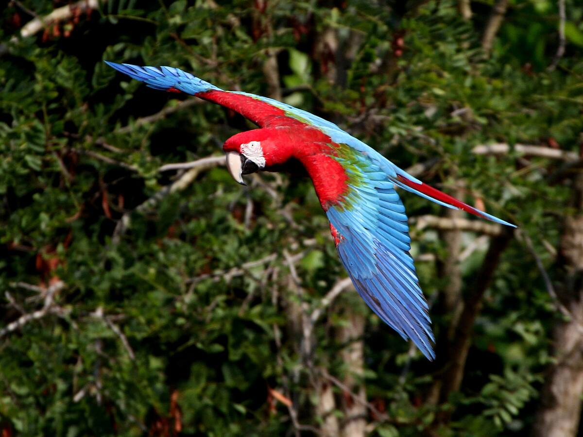 “Esperamos días para tener la toma perfecta”: director de Colombia: wild and free