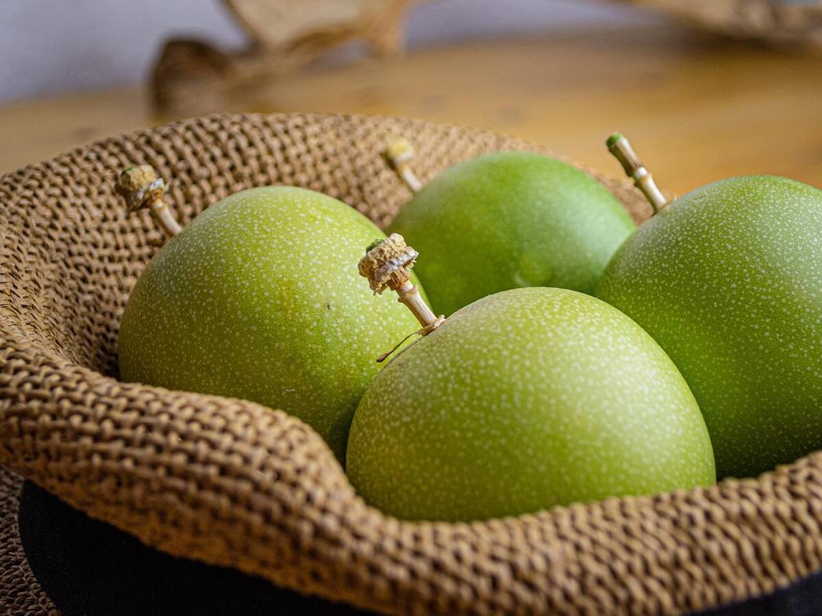 Vino y pulpa de cholupa impulsan cultivadores en el Huila