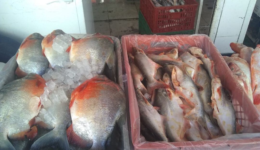 Caracol Radio Ibagué