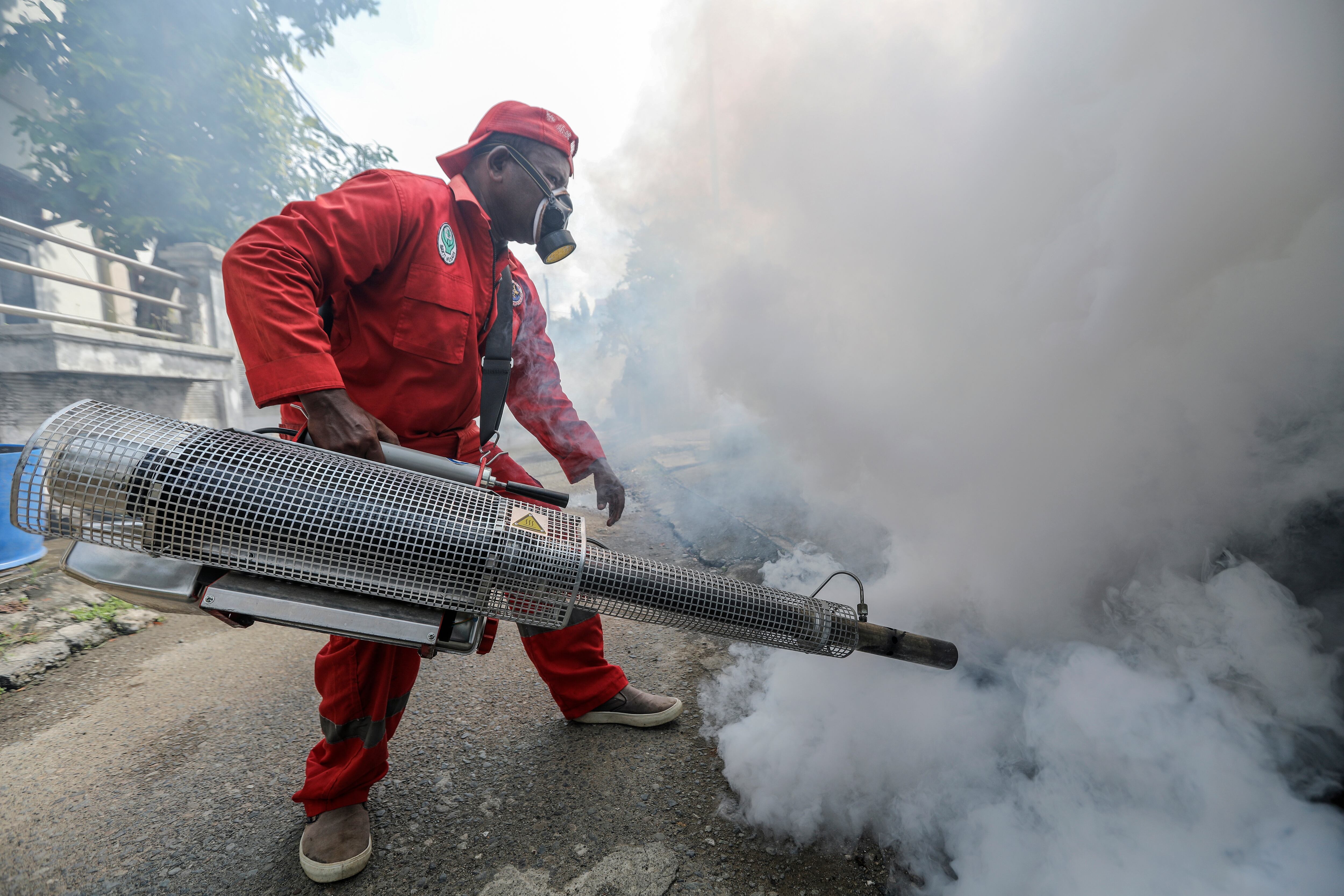 Cortesía: EFE. Aumentan casos de dengue en Ocaña
