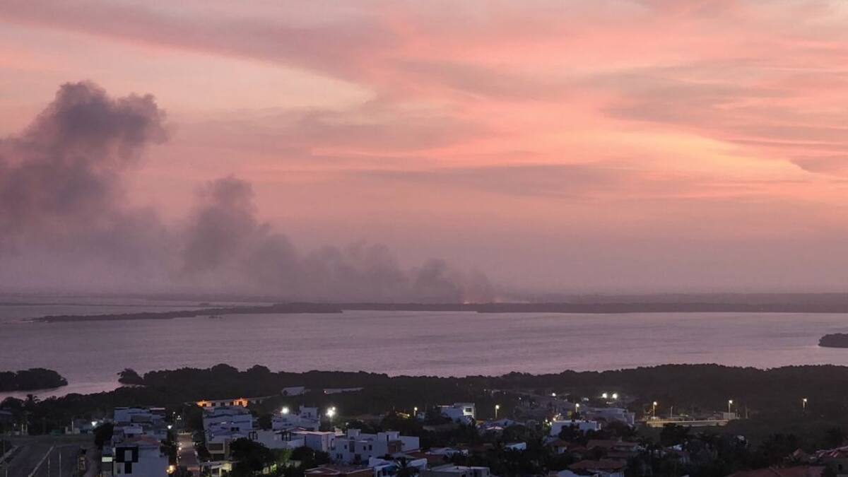 Incendio en Vía Parque Isla Salamanca arrasa con hectáreas de mangle